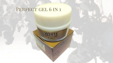 Perfect Gel 6 in 1
