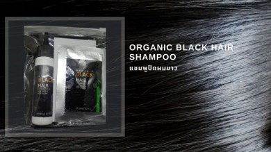Organic Black Hair Shampoo : แชมพูปิดผมขาว